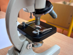 WhatsApp Image 2026-01-23 at 14.18.21