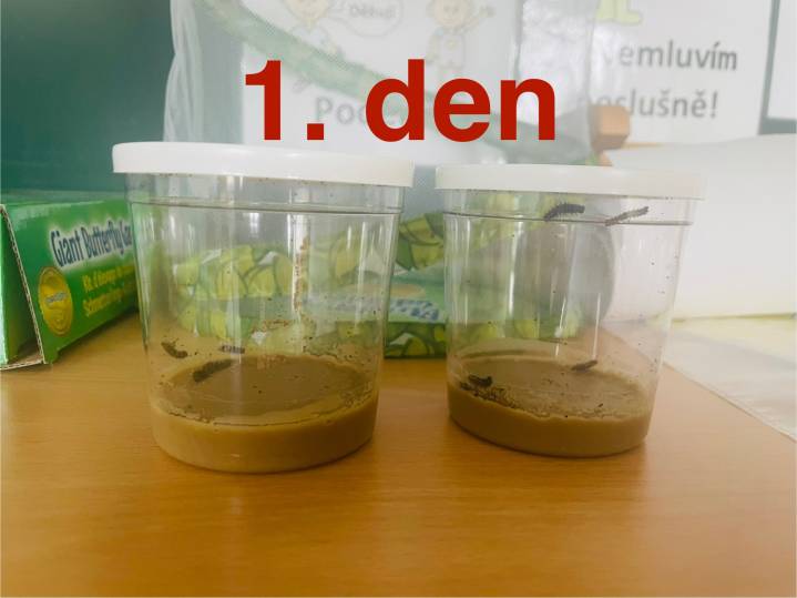 image0