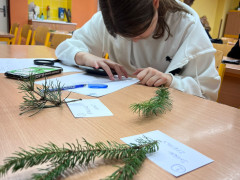 WhatsApp Image 2026-01-23 at 14.18.21 (2)