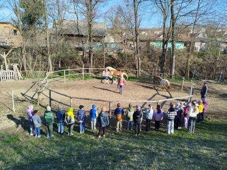 IMG_20260410_083757 (2)