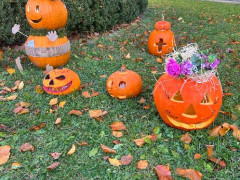 stažený soubor (4)